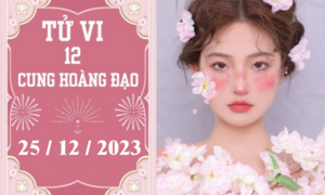 Tử vi vui 12 cung hoàng đạo ngày 25/12: Kim Ngưu tiêu cực, Thiên Bình phát triển