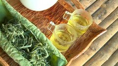 Những ai không nên uống nước lá sen?