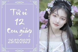 Tử vi vui 12 con giáp hôm nay ngày 25/12/2023: Thân ổn định, Tuất cố gắng