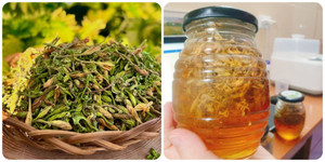 Tác dụng của hoa đu đủ đực ngâm mật ong với sức khoẻ