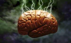 Phát hiện mới về trải nghiệm cận tử
