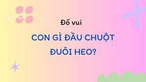 Con gì đầu chuột đuôi heo?
