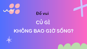 Củ gì không bao giờ sống?