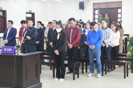 Y án chung thân cựu Cục trưởng Lãnh sự Nguyễn Thị Hương Lan nhận hối lộ 25 tỷ 