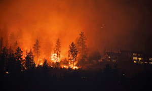 Năm cháy rừng gây thương vong cao nhất kể từ đầu thế kỷ 21