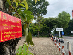 Vì sao gần 400 công viên ở TP.HCM không có bãi giữ xe?