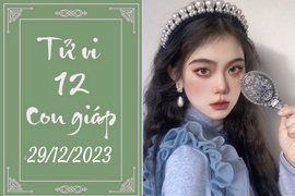 Tử vi vui 12 con giáp hôm nay ngày 29/12/2023: Hợi mong lung, Tý cẩn thận