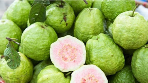 Loại quả là kho vitamin C, chăm ăn khỏi lo gặp bác sĩ