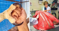 Những bức ảnh kỳ lạ có thể khiến bạn nghi ngờ thị giác của mình 