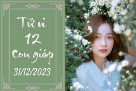 Tử vi vui 12 con giáp hôm nay ngày 31/12/2023: Hợi cẩn thận, Mão chu đáo