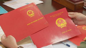 Tốt nghiệp cao đẳng có được gọi là cử nhân?