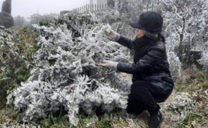 Tháng 12, Mẫu Sơn ghi nhận nhiệt độ thấp nhất 10 năm qua