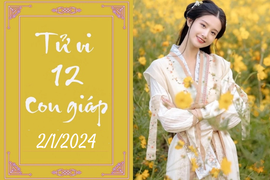 Tử vi vui 12 con giáp hôm nay ngày 2/1/2024: Dậu tài giỏi, Thìn cải thiện