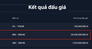 Biển số 88A-666.66 trúng đấu giá gần 30 tỷ đồng