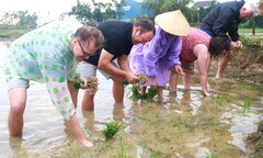 Ông Tây bà Đầm đội mưa lội bùn tát nước, cưỡi trâu cày ruộng, cấy lúa ở Hội An