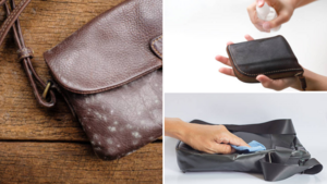 Cách làm sạch đồ da bị nấm mốc