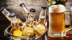 Hạn sử dụng của bia là bao lâu?