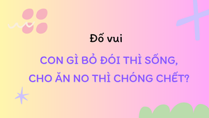 Con gì bỏ đói thì sống, cho ăn no thì chóng chết?