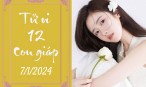 Tử vi vui 12 con giáp hôm nay ngày 7/1/2024: Ngọ chọn lọc, Thìn sâu sắc