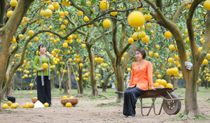 Thời tiết ngày 8/1: Bắc Bộ sáng sớm trời rét, trưa nhiệt độ tăng đến 27 độ C