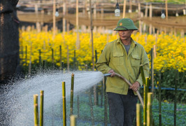 Dự báo thời tiết ngày 9/1: Bắc Bộ có nơi nắng trên 28 độ C trước khi đón gió mùa