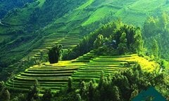 Nơi nào ở Việt Nam được vinh danh 'điểm đến thiên nhiên hàng đầu thế giới'?