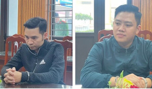 Bắt Chủ tịch và Tổng Giám đốc Newland Group lừa đảo hơn 33 tỷ đồng