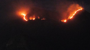 Cháy núi Cô Tiên: Cơ quan chức năng tỉnh Khánh Hòa thông tin về thiệt hại 