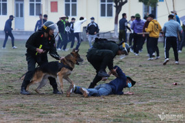 Cận cảnh lực lượng gìn giữ hòa bình Việt Nam thi triển chiến thuật cứu con tin