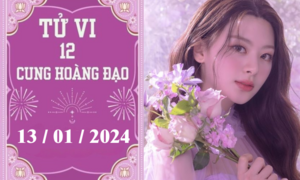Tử vi vui 12 cung hoàng đạo ngày 13/1: Ma Kết ổn định, Song Tử chậm trễ