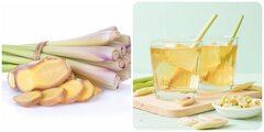Uống nước gừng sả có tác dụng gì?