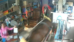 Ngựa điên náo loạn, càn quét mọi thứ trên đường 'thoát thân'