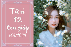 Tử vi vui 12 con giáp hôm nay ngày 14/1/2024: Tỵ hấp dẫn, Ngọ kiên trì 