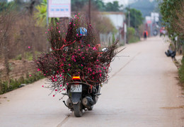 Dự báo thời tiết 10 ngày từ đêm 14/1 đến 23/1 cho Hà Nội và cả nước