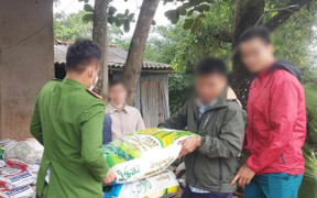 Dân miền núi Quảng Trị trả lại gạo 'hôi của' sau vụ xe tải lật trên quốc lộ