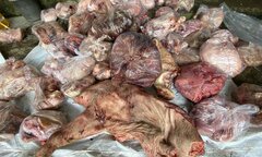 Phát hiện hơn 3 tấn thịt lợn và nội tạng bốc mùi hôi thối ở Huế