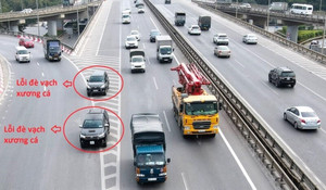 Khi nào được đè vạch xương cá?