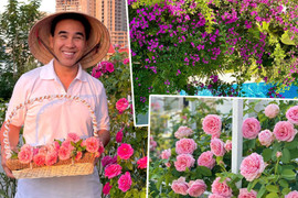 Vườn hoa rực rỡ như cổ tích trong biệt thự rộng 500m2 của MC Quyền Linh