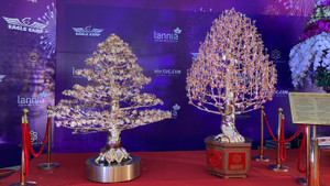 Choáng ngợp cặp đào, mai mạ vàng giá 6 tỷ đồng