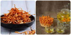 Uống đông trùng hạ thảo có tác dụng gì?