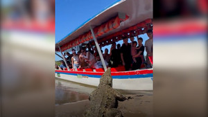 Khoảnh khắc thót tim cá sấu lao vào thuyền chở du khách