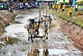 Những lễ hội truyền thống An Giang đặc sắc