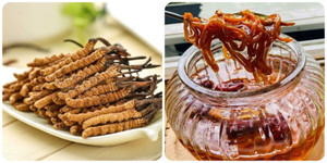 Đông trùng hạ thảo bổ dưỡng nhưng 'đại kỵ' với 5 nhóm người sau