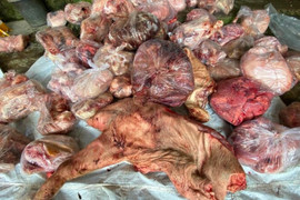 3 tấn thịt đông lạnh bốc mùi ở Huế: Có mẫu nhiễm Ecoli gấp 60 lần mức cho phép