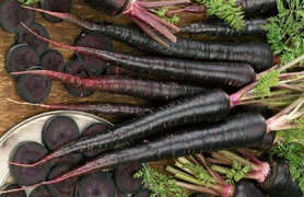 Cà rốt đen mang lại nhiều lợi ích sức khỏe nhưng người này cần chú ý khi ăn