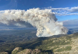 Biến đổi khí hậu có thể gây thêm 14,5 triệu ca tử vong tính đến năm 2050