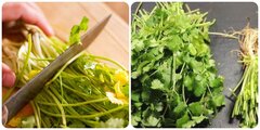 Rau mùi có tác dụng gì?