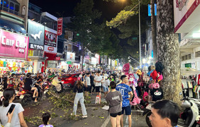 Người đàn ông bị nhánh cây rơi trúng đầu tử vong