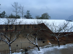 Dự báo thời tiết 10 ngày từ đêm 20/1 đến 30/1 cho Hà Nội và cả nước