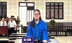 Lợi dụng 'chuyến bay giải cứu', nữ giám đốc lừa đảo chiếm đoạt hàng tỷ đồng